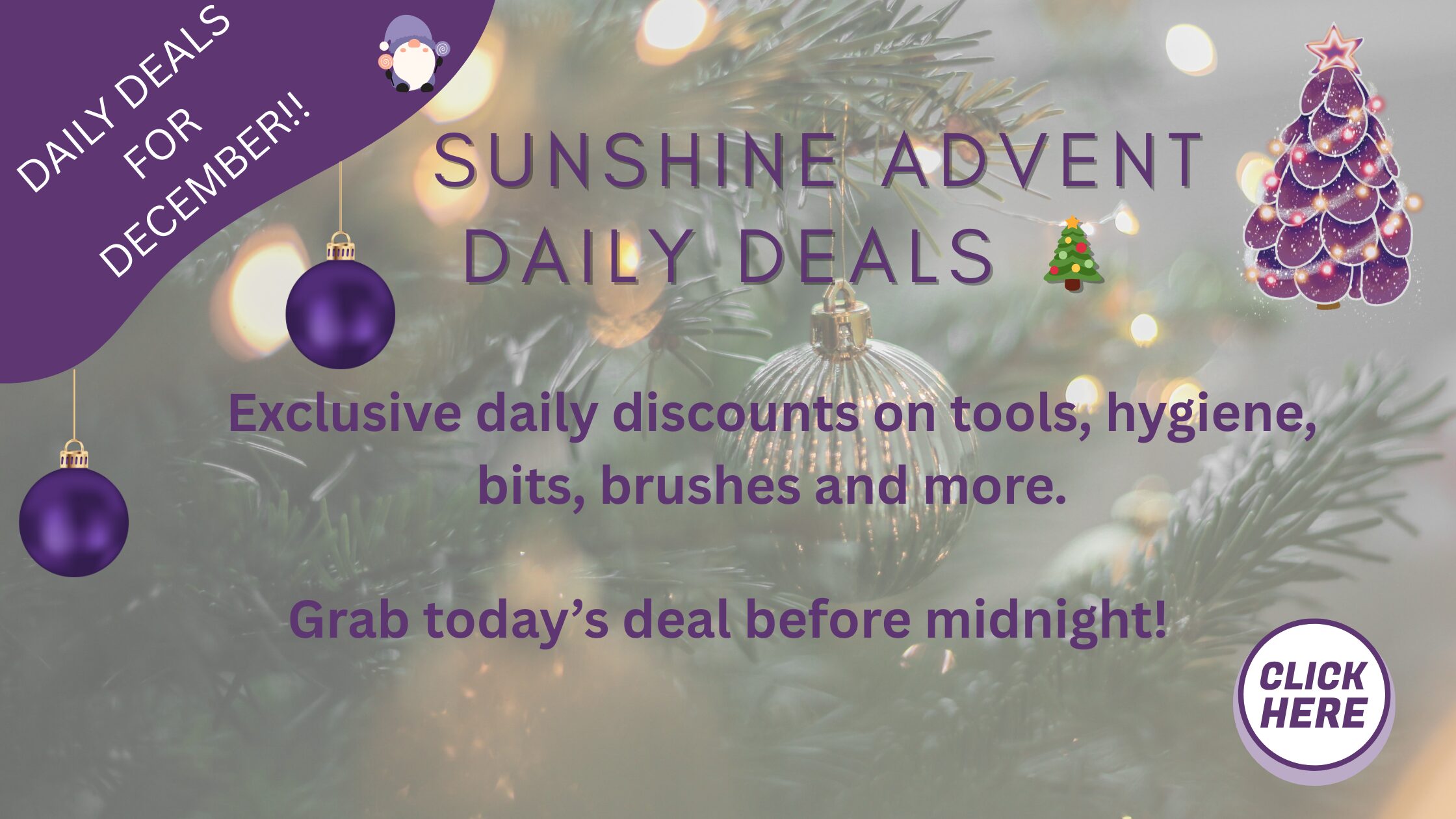 December-Christmas-Sunshine